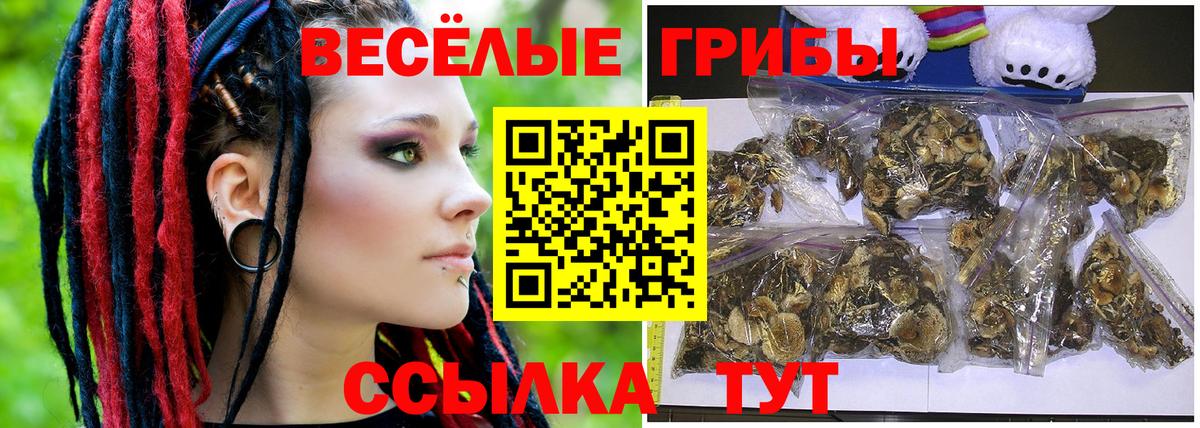 Псилоцибиновые грибы MAGIC MUSHROOMS Верхний Уфалей